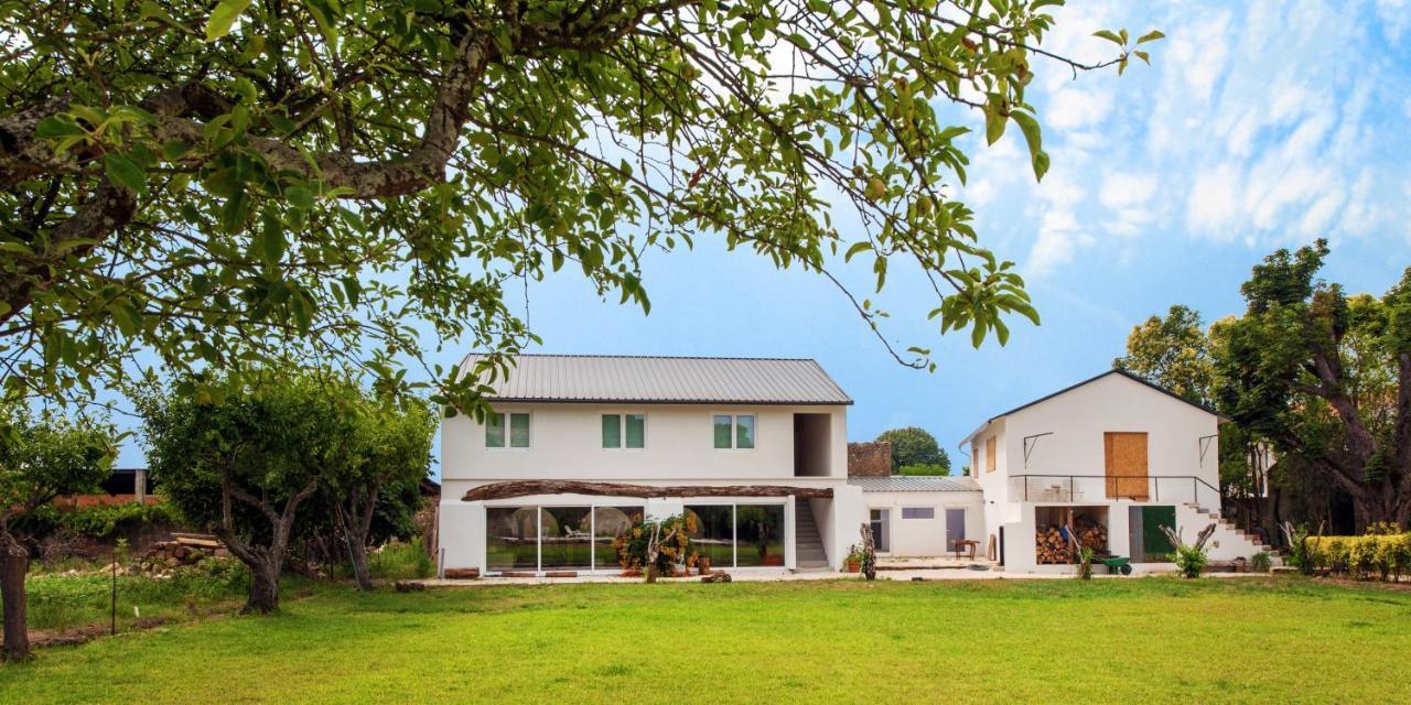 Casa De Arcos Pension Anadia Buitenkant foto